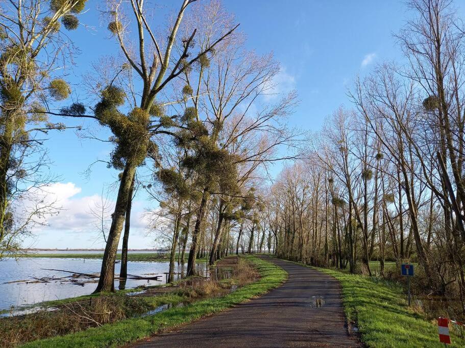 Lac Grand Lieu : Maisonnette Au Calme Avec Jardin Saint-Lumine-de-Coutais Екстер'єр фото